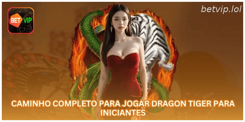 Caminho completo para jogar Dragon Tiger para iniciantes.